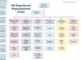 organizational chart of hr department in toyota company