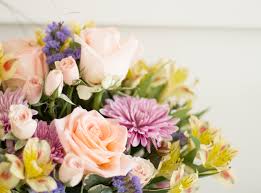 Check spelling or type a new query. How To Keep Cut Flowers Fresh