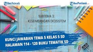 Setiap warga negara mempunyai hak yang sama untuk memperoleh pendidikan. Kunci Jawaban Tema 6 Kelas 5 Halaman 32 33 34 36 37 Subtema 1 Pembelajaran 3 Panas Perpindahannya Halaman All Tribun Pontianak
