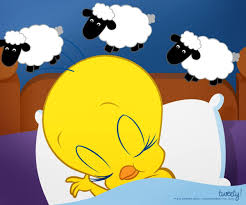 Tinkevidia Tweety Tweety Bird Drawing Tweety Bird Quotes