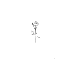 Rose Tattoo On A Back Left Arm Above Elbow Today Pin Siyah Gul Dovmeler Kol Dovmeleri Sevimli Dovmeler