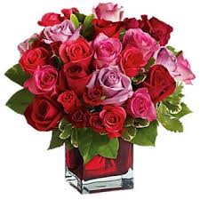 Check spelling or type a new query. Mon Repos Boleh Dibuka Bouquet Campuran Karang Merah Jambu Merah Dan Bunga Ros Merah Jambu Segar Penghantaran Bunga Mon Repos Bunga Dalam Talian Mon Repos