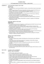 It allows you to highlight your experience and work history in chronological second, the title project manager isn't so specific to the application. Scientific Project Manager Resume Samples Velvet Jobs