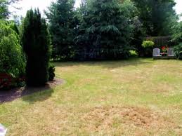If you are doing your own pest control, you really should get a spray can that will last a long time. Lawn Grub Control And Prevention Coastal Turf