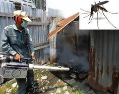 The government ministries of thailand (thai: 230 Liftestyle Ideas Traveling By Yourself Thailand Tourist Strapless Dress Formal