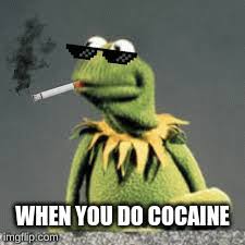 We would like to show you a description here but the site won't allow us. Kermit On Cocaine Imgflip