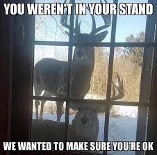 Funny Animal Picture Dump 24 Pics Funny Hunting Pics Funny Deer Funny Animal Memes