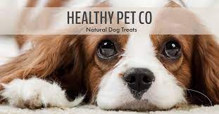 A wholesome, nutritious meal that merits two paws up from your pet! Healthy Pet Co Home Facebook