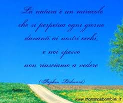 Frase Sulla Bellezza Della Natura Bellezza Natura Citazioni Carine