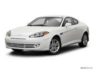 Image result for Hazelnut 2004 Tiburon