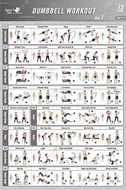 Dumbbell Workout Poster Online Charts Collection