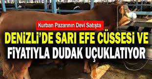 Denizli De Sari Efe Cussesi Ve Fiyatiyla Dudak Ucuklatiyor