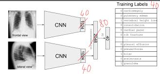 All pytorch modules/layers are extended from thetorch.nn.module. How To Remove The Last Fully Connected Layer From A Cnn In Fastai To Stack More Than One Cnn Into A Fc Nn Part 1 2018 Deep Learning Course Forums