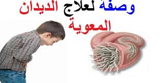 ديدان البطن مسبباتها وأعراضها وكيفية التخلص منها طريقة التخلص من ديدان الامعاء