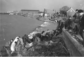 Beuksloot, een water dat door de beuken werd omgeven. Papendrecht Nederland Landschappen Holland