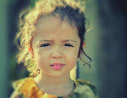 CoLab EVIDENCE REPORT