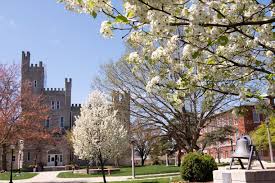 And the white oak is the state tree of connecticut, illinois and maryland. Streaming In Isu Red Research Beyond An Article News Illinois State