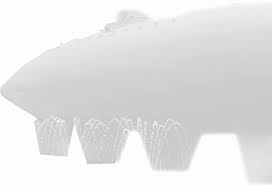 La final de poveste, vă las cu o frântură din opera lui preda, cel de care râdem și pe care îl batjocorim după moarte: 2