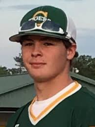 2018 Times All-Area Baseball Team