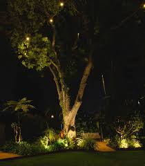 Bright Outdoor Garden Lights In 2020 Outdoor Garden Lighting Garden Lighting White Gardens