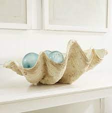 Pin By T L Doane Morath On Details Beach Inspiration Giant Clam Giant Clam Shell Driven By Decor