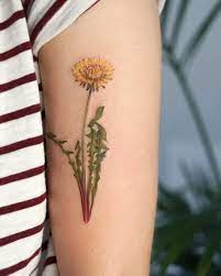 Pin On Tattoo Ideas
