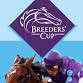 2025 Breeders' Cup World Championships 2-Day Package event image