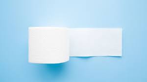 While all toilet paper diss. Toilet Paper History How America Convinced The World To Wipe Mental Floss