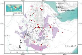 Image result for Antherotoma densiflora
