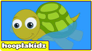 Nursery Rhyme I Had A Little Turtle Preschool Nursery Rhymes Children Songs Nursery Rhymes Preschool Nursery Rhymes Kids Nursery Rhymes