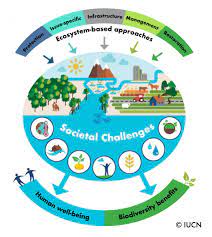 About Nature Based Solutions Iucn