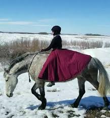 Riding Skirt For Women Equestrian Winter Gear Horse Owner Etsy Riding Skirt Equestrian Outfits Equestrian Helmet