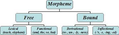 Check spelling or type a new query. Morphemes In English