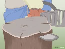 Once they're gone, they leave a hole in your yard that you'll have to landscape over or replant with grass. 3 Ways To Decorate Tree Stumps Wikihow