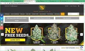 However, shipping times to the us and canada can be a little slow. Top 7 Best Cannabis Seed Banks 2021 All Ship To Usa Mold Resistant Strains
