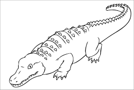 We have prepared coloring pages in this category about crocodiles. Crocodile Coloring Pages Free Coloringbay