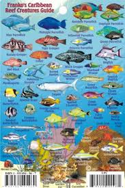 Caribbean Fish Card Caribbean Mini Fish Card 2009 By Frankos Maps Ltd