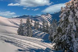 Is er verse sneeuw gevallen of kunnen de pistes nog wel wat extra sneeuw. Winter Bergen Sneeuw Landschap Natuur Alpine Hochybrig Zwitserland Himmelolkentannen Sporen Poeder Sneeuw Pikist