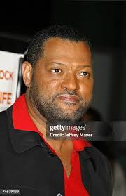 184 Jeffrey Laurence Stock Photos, High-Res Pictures, and Images