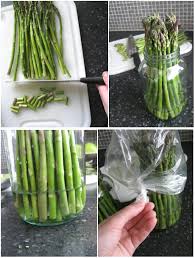 Ad ogni alimento il suo contenitore ideale per conservare tutto al meglio e più a lungo. Come Conservare A Lungo Gli Asparagi In Frigo Mangiare Bene