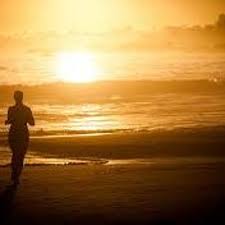 Wise men say only fools rush in but i cant help falling in love with you. Wise Men Say Only Fools Rush In Plucked By Allison Joy Clawson