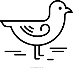 New users enjoy 60% off. Download Seagull Coloring Page Drawing Full Size Png Image Pngkit