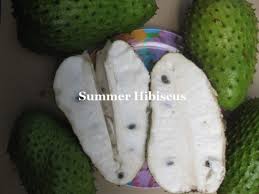 Image result for Annona muricata