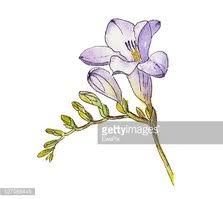 We did not find results for: Acuarela De Flor Vector Imagenes Premium De Alta Resolucion