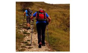 Bol Com Nordic Walking Stokken Carbon Uitschuifbaar Verstelbaar Wandelstokken