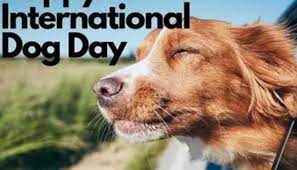The celebration was initiated by the international fund for animal welfare (ifaw) with the aim of caring for and protecting the rights of man's best friend. Lasao6rdqggaym