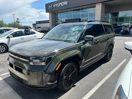 Image result for Rockwood Green 2025 Santa Cruz