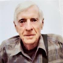 Theodore "Ted" Henry Carl Krueger Jr. Obituary