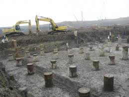 We did not find results for: Yayasan Pile Kebaikan Dan Keburukan Ulasan Tentang Asas Asas Cerucuk