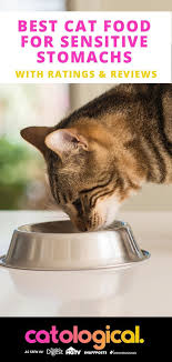 If Your Cat Needs Relief From Vomiting And Diarrhea You Should Check Out Our Reviews Of The Best Sensitive S Best Cat Food Sensitive Stomach Cat Food Cat Food